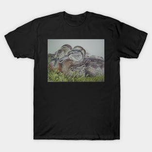 Ducklings in a huddle T-Shirt